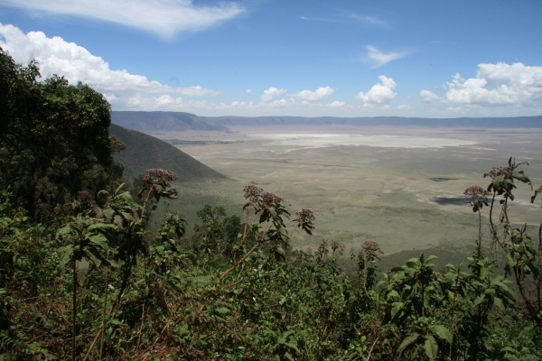 view over ngorongoro crater.JPG